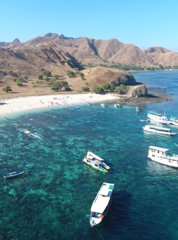 pink beach tour