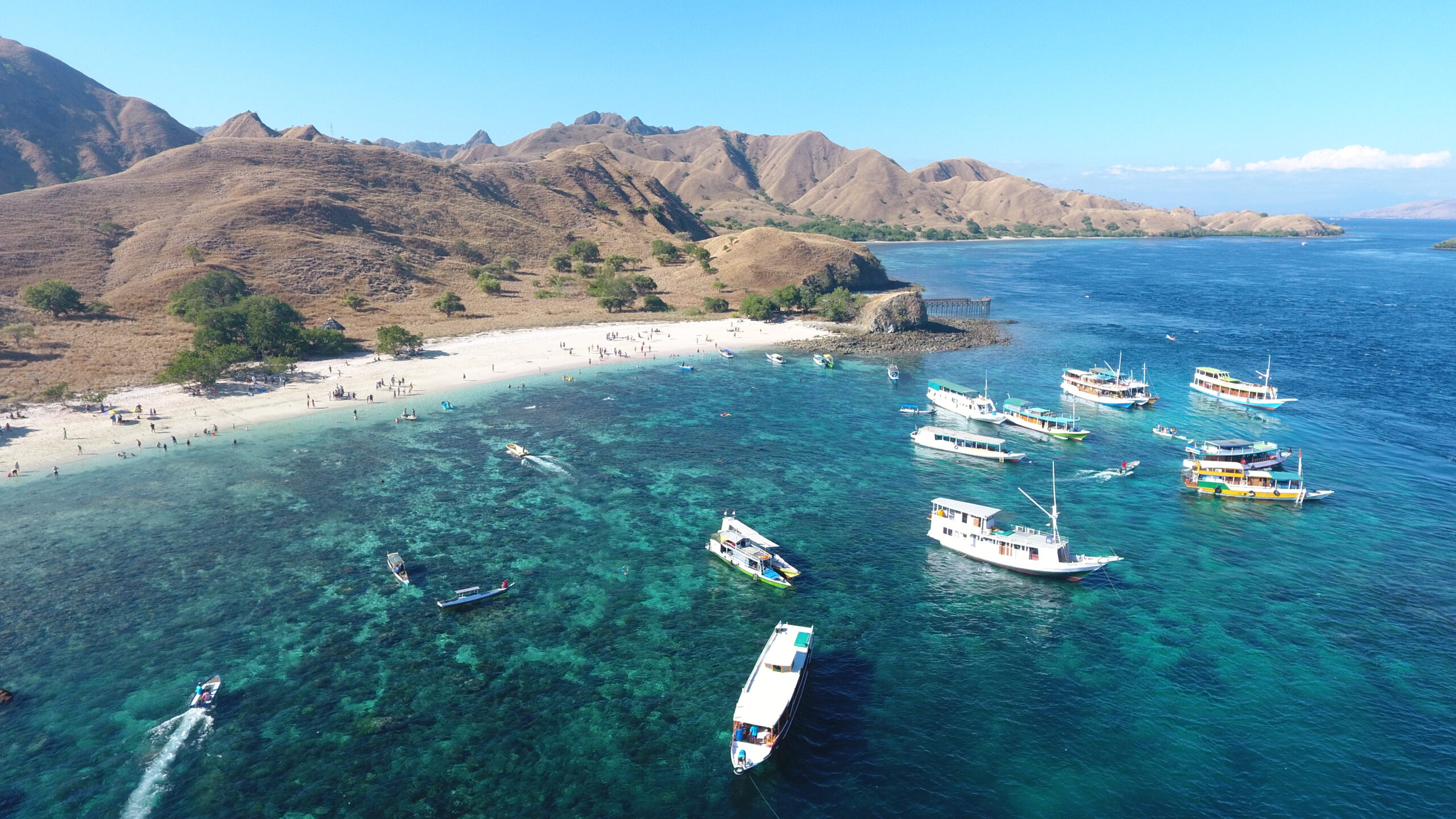 pink beach tour