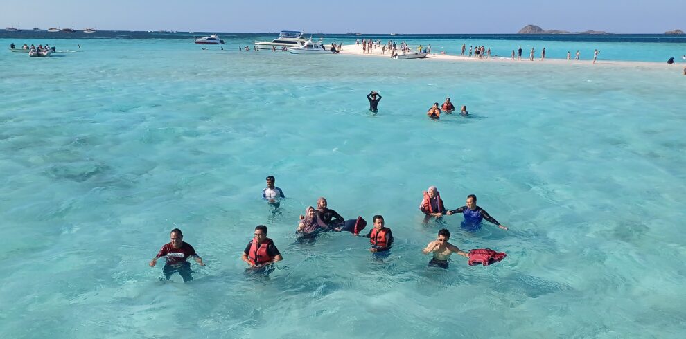 pink beach snorkeling
