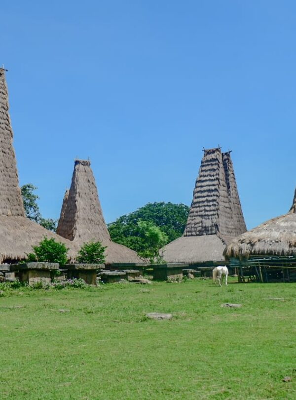 sumba island
